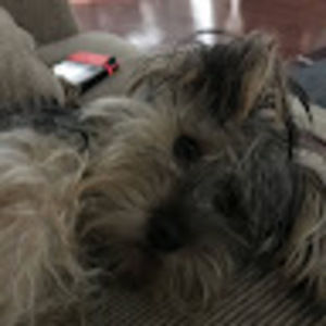 Meet your Posher, Christopher